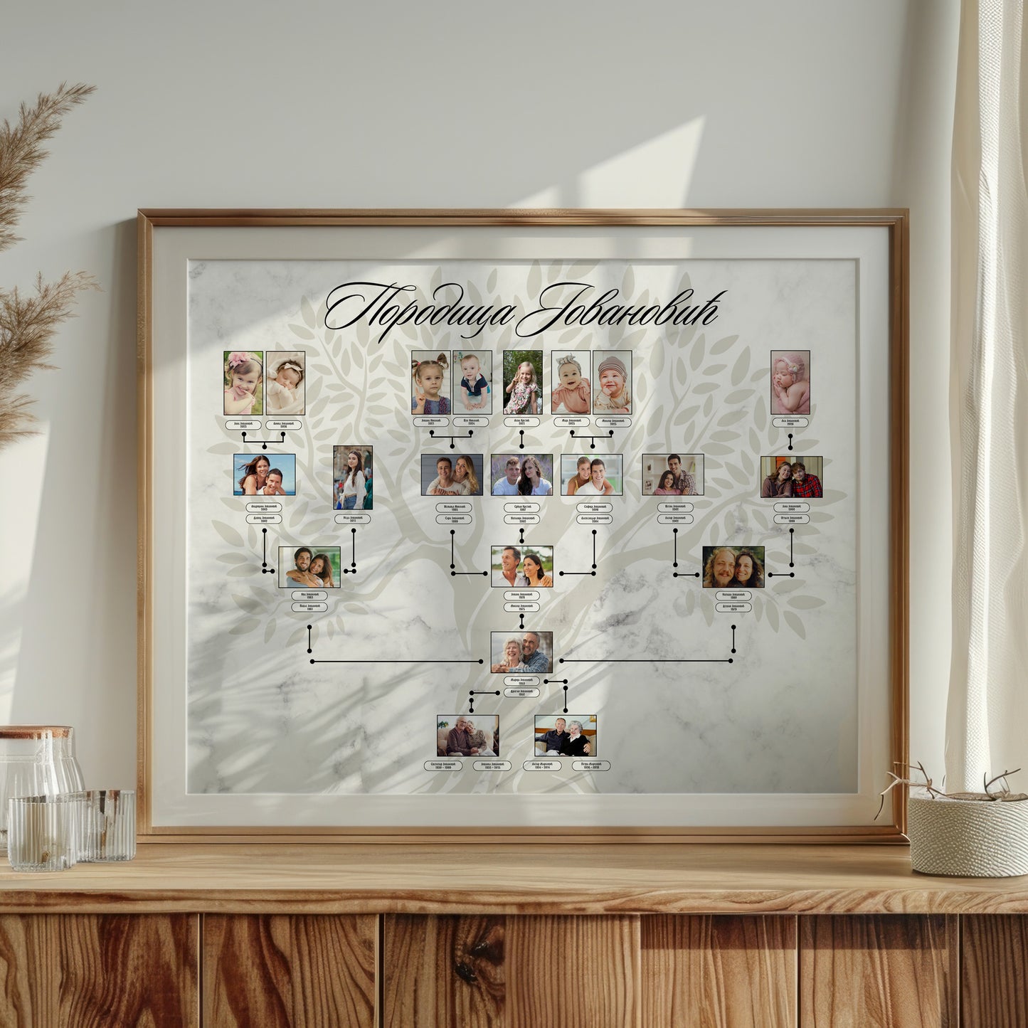 Porodicno Stablo 5 Generacija - Standard Paket