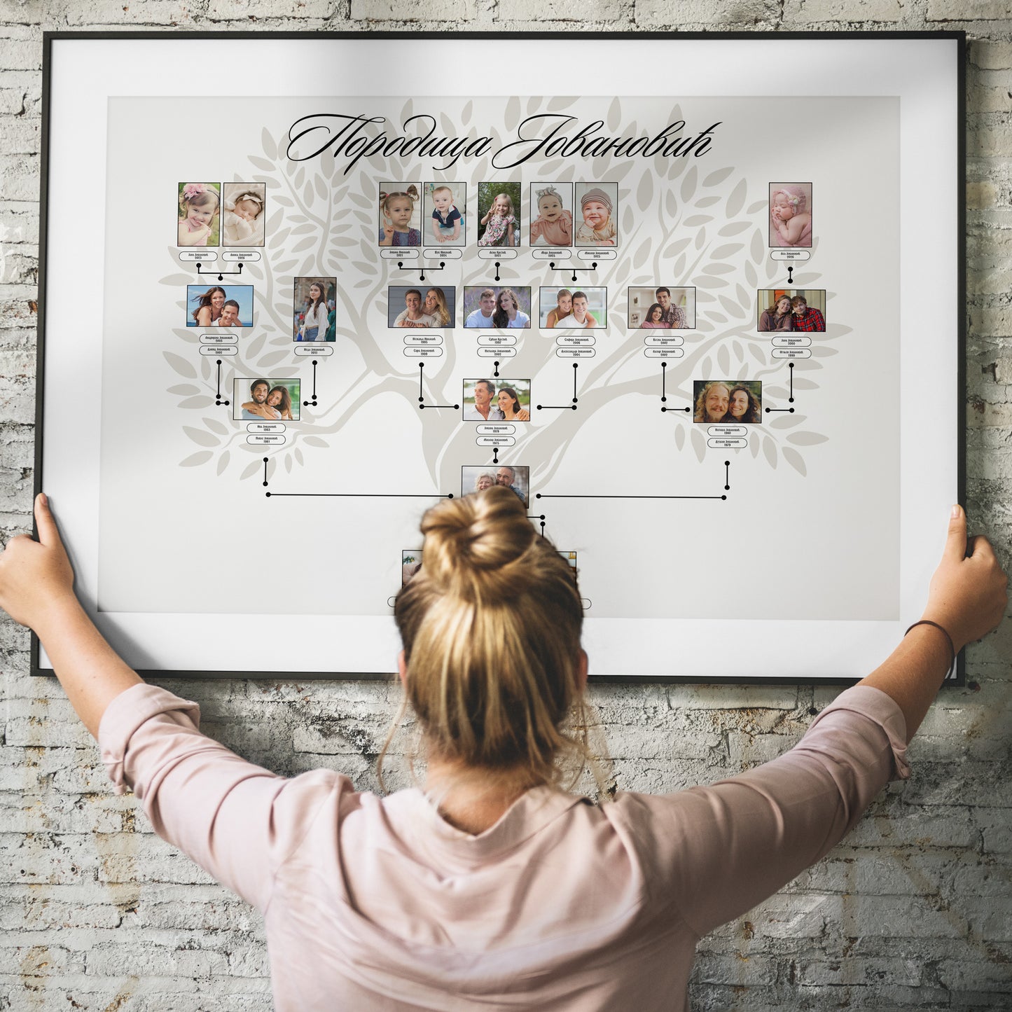 Porodicno Stablo 5 Generacija - Standard Paket