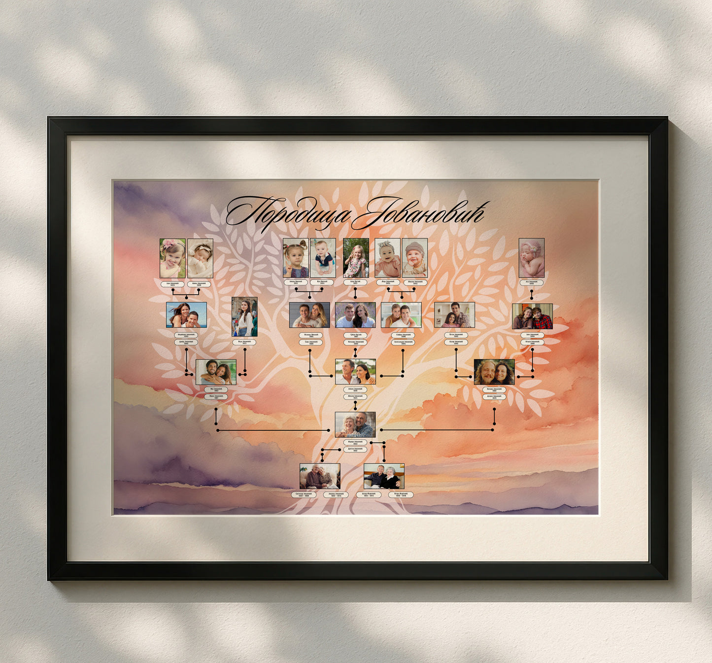 Porodicno Stablo 5 Generacija - Standard Paket